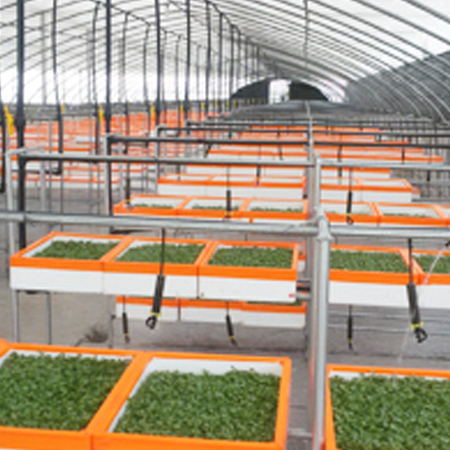 山東泰鵬智能家居股份有限公司