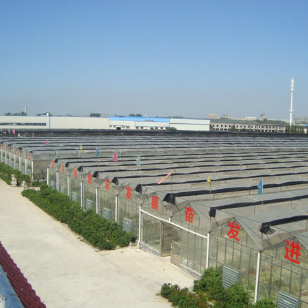 山東泰鵬智能家居股份有限公司