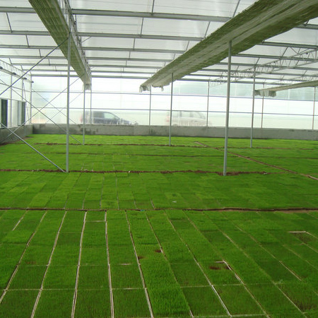 山東泰鵬智能家居股份有限公司